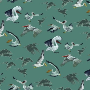 pelicans in flight green