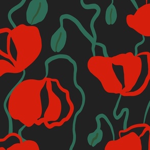 (L) Scarlet Poppies flowers on black 