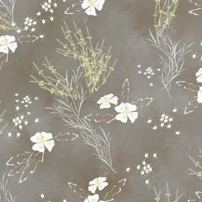 Medium Desert Primrose Bloom with Scrub Brush on Dark Brown Textured Background