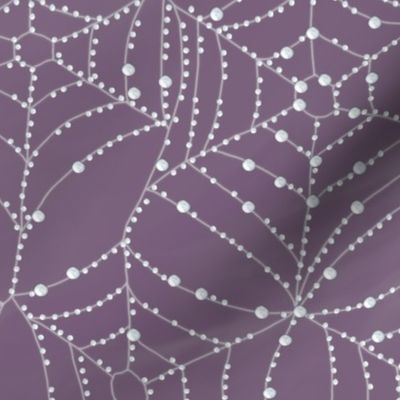 Spider Webs with dew - lavender