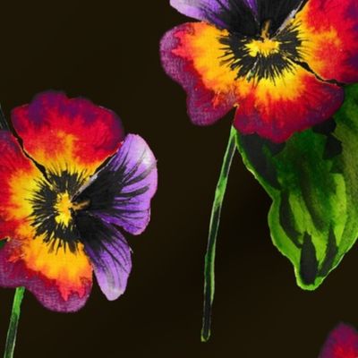 Watercolor Pansy Large on Dark Chocolate Background