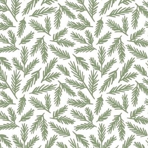 Olive green hand-drawn pine leaves on white background 