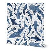 Monochrome blue watercolour shark ocean