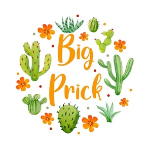 18x18 Panel Big Prick Sarcastic Cactus on White for DIY Throw Pillow Cushion Cover or Tote Bag