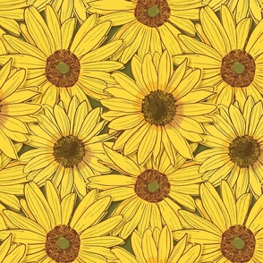 Yellow Carpet of Helianthus Sunflowers 12"