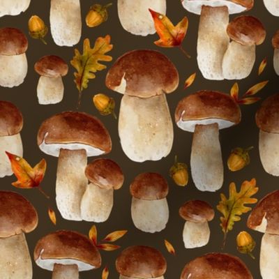 Fall porcini boletus mushroom cute fall autumn watercolor 