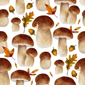 Fall porcini boletus mushroom cute fall autumn watercolor 