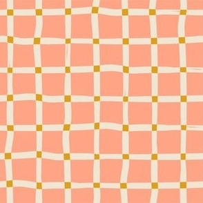 Rustic Cabin Pink Gingham Simple Geometric