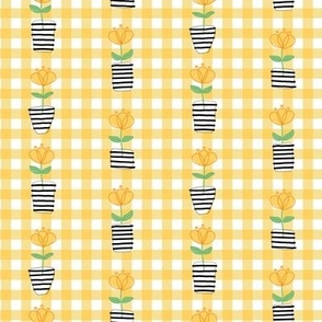 Cheerful Buttercup Flowers in Striped Pots on Yellow Gingham