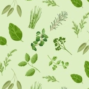 Herbs - green