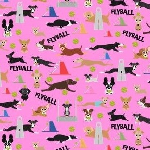 Flyball pink
