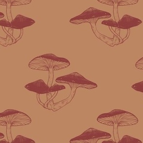Gymnopilus Mushroom - Rustic Red