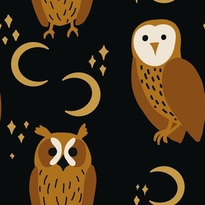 Celestial Owl, Moon and Stars in Cozy Colors on Midnight Black