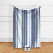 Vertical White Distressed Stripes on Dusty Blue