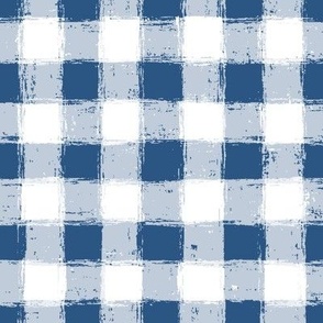 Distressed Gingham White and Aegean Blue