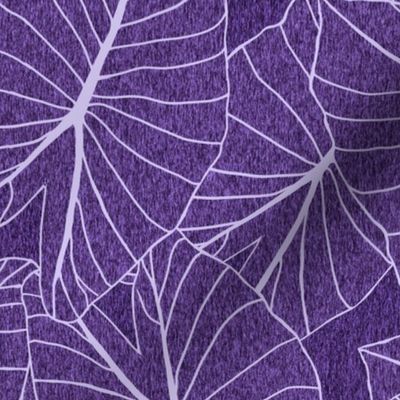 Taro Leaf with texture-red-violet
