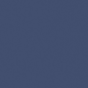 Dark-Violet Blue Solid