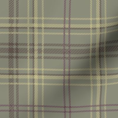 Tight plaid for room to grow, green and purple kilts or academia suits