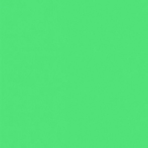 LightGreen  Mint Solid