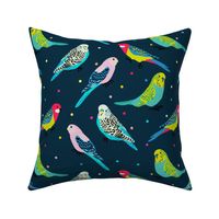 Parakeets simple navy 