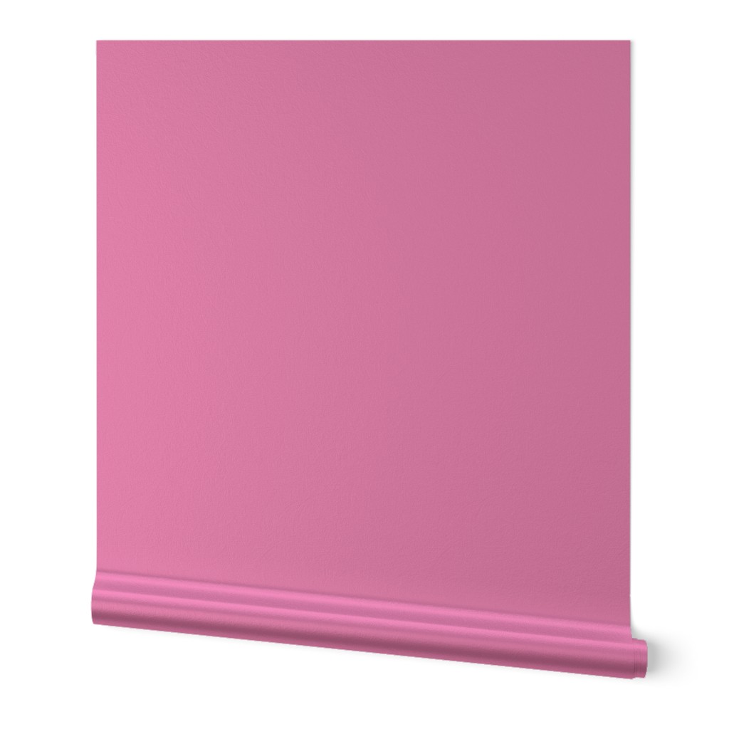 Rose pink carnation solid plain block color