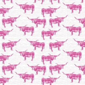 longhorns pink