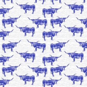 longhorns blue