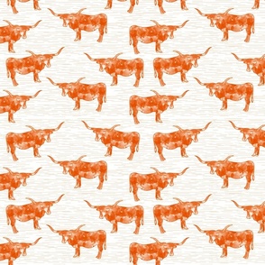 longhorns orange