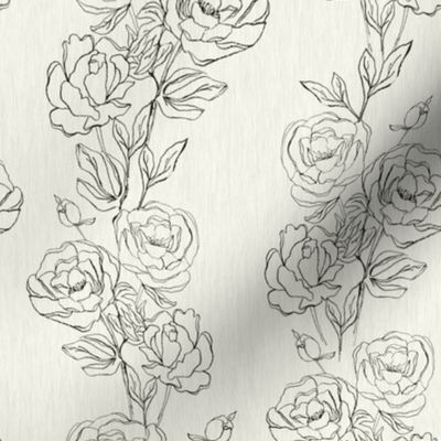 Black Floral Stripe Fabric Mid Scale - Hand Drawn Roses - black, ivory flowers