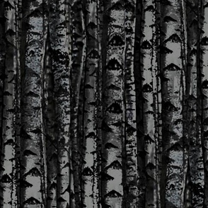 The Forest Has Eyes Birch Trees at Night