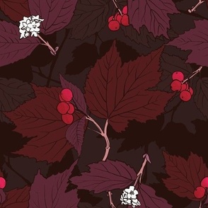 Fall Cranberries