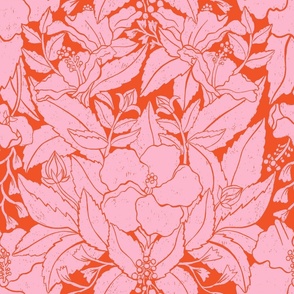 Hibiscus Damask Red 