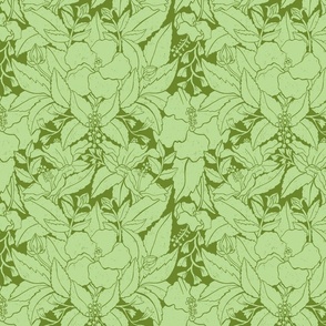 Hibiscus Damask Green - Small