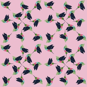 Hummingbirds on pink