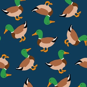 mallard ducks on navy blue LARGE