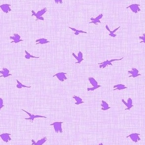 Flying Ravens - Purple