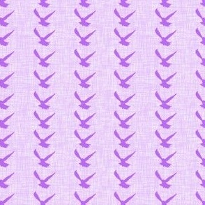 Raven Stripe - Purple