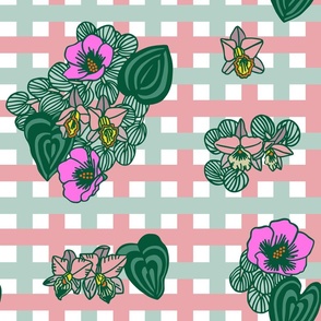 endless peach plaid orchid