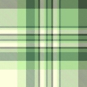 Plaid in shades of green
