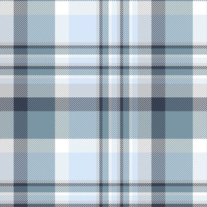 12" Plaid in blue and white