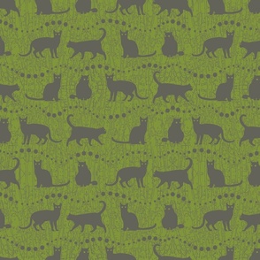 Grey Cats on Green Background   