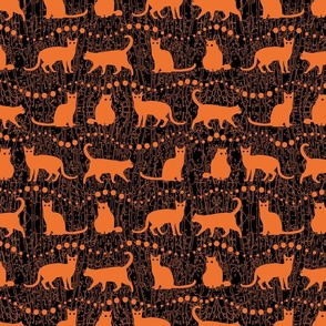 Orange Cats on Black Background
