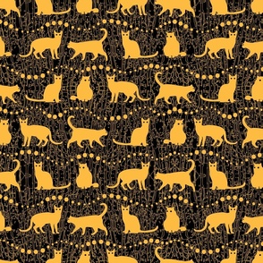  Yellow Cats on Black Background