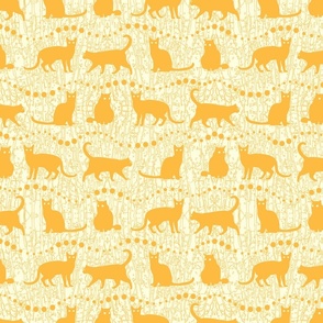 Yellow Cats on White Background        