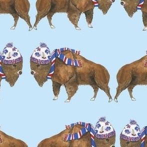 buffalos roaming on blue