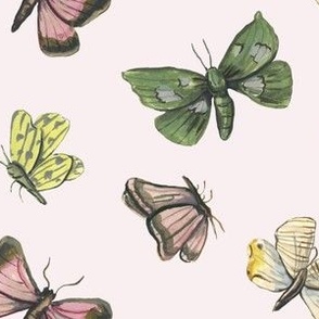 butterfly pattern pink