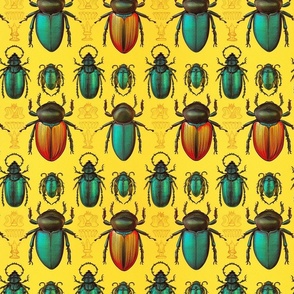 pop art scarab in green and yellow