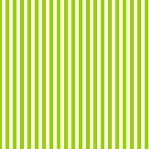 Arsenic and Ivory stripes (5mm) - green, cream (ST2023WCS)