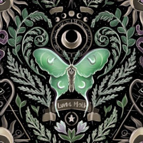 Sketchy Whimsigoth Wallpaper with luna moths, ferns and celestial elements
