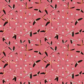 Flamingos-03